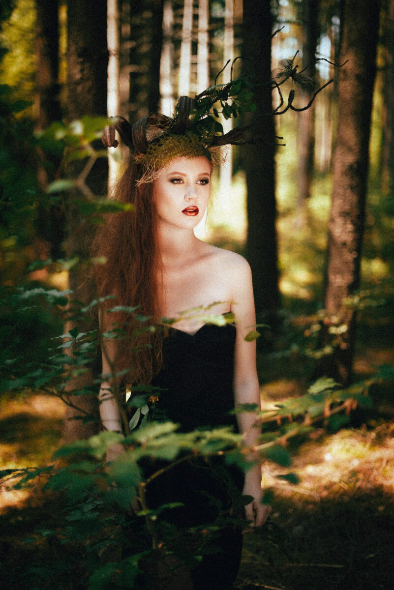 Alina: Forest Fery